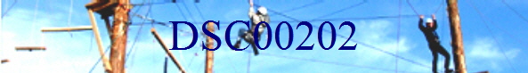 DSC00202