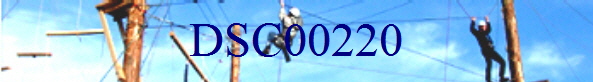 DSC00220