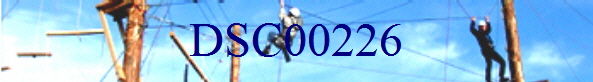 DSC00226