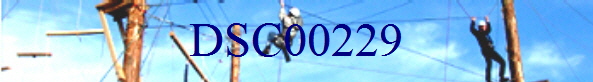DSC00229