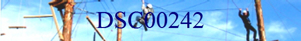 DSC00242