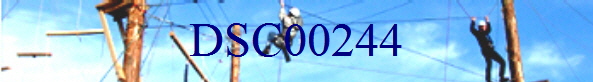 DSC00244