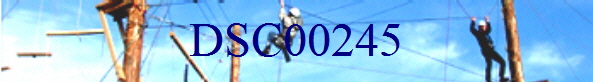 DSC00245