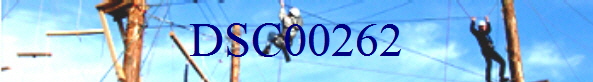 DSC00262